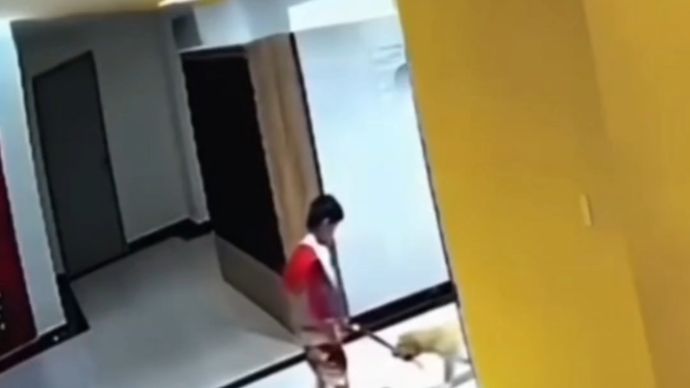 Soeang Anak dikejar Anjing Peliharaan