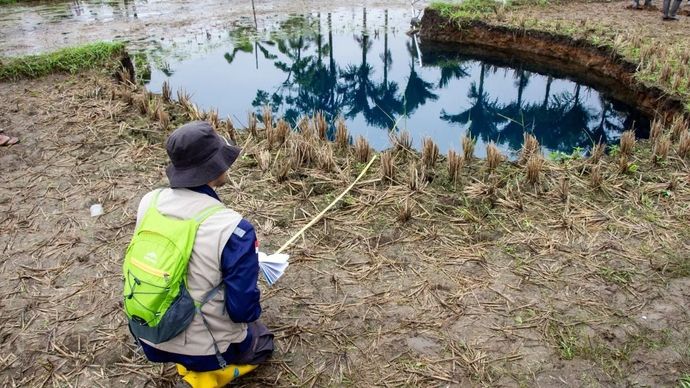 Arsip - Tim dari Badan Geologi Kementerian ESDM melakukan pemeriksaan dan kajian fenomena sinkhole yang terjadi di Kabupaten Limapuluh Kota, Sumatera Barat. (Antara/Fandi Yogari)