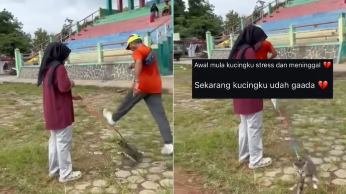 Pria Tendang Kucing di Blora