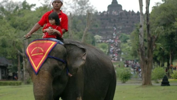 Ilustrasi - Seekor gajah dengan pawangnya yang berpakaian Sinterklas, membawa seorang anak berkeliling kawasan Taman Wisata Candi Borobudur (TWCB), Borobudur, Magelang, Jateng. FOTO ANTARA/Anis Efizudin/ss/ama/09.