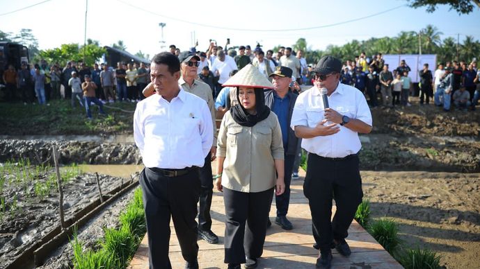 Kementerian Pertanian (Kementan) mengalokasikan anggaran sekitar Rp336 miliar untuk mempercepat rehabilitasi lahan sawah terdampak bencana banjir di Aceh, Sumatera Utara, dan Sumatera Barat.  