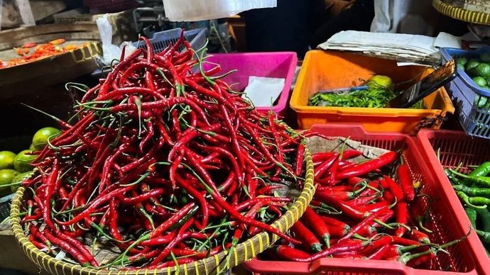 Ilustrasi - Komoditas cabai merah keriting yang dijual pedagang di Pasar Kebayoran Lama, Jakarta Selatan. ANTARA/Harianto