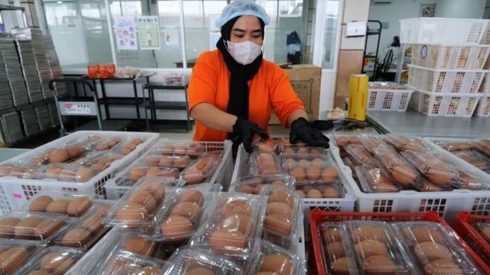 Petugas menyiapkan telur rebus untuk paket Makan Bergizi Gratis (MBG) Ramadhan di Dapur Satuan Pelayanan Pemenuhan Gizi (SPPG) Pontianak Selatan di Pontianak, Kalimantan Barat, Senin, 23 Februari 2026. SPPG Pontianak Selatan mendistribusikan paket MBG sebanyak dua kali seminggu selama bulan Ramadhan kepada 2.556 penerima manfaat di enam sekolah tingkat PAUD, SD, SMP, dan SMA serta satu posyandu di wilayah sekitar dengan menu berupa telur rebus, lauk pauk setengah matang (diungkep), kurma, dan buah. ANTARA FOTO/Jessica Wuysang/YU