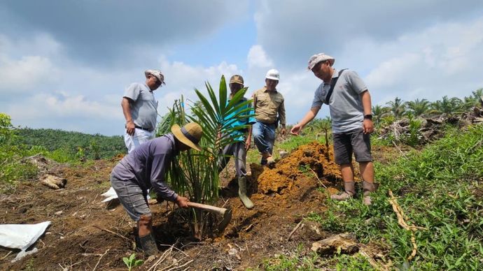 Para petani bermitra dengan PT Kresna Duta Agroindo (KDA), dalam Program Peremajaan Sawit Rakyat (PSR) skema Sarana Produksi/Saprodi. (Istimewa)