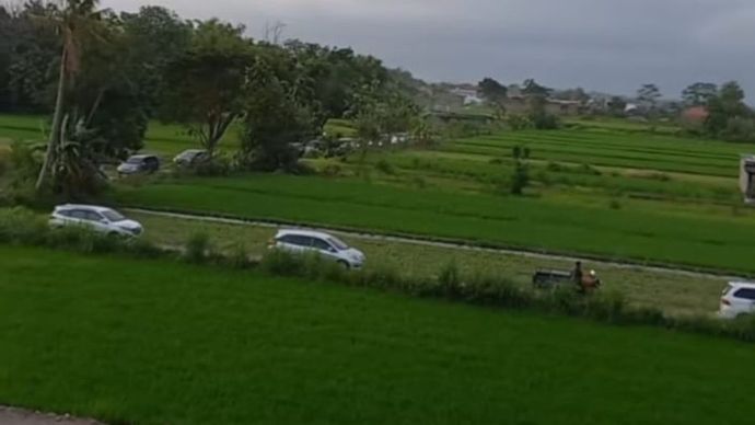 korban Google Maps malah nyasar ke sawah