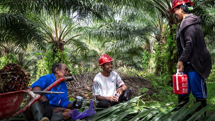 Gabungan Pengusaha Kelapa Sawit Indonesia (GAPKI) mendorong industri sawit untuk mengoptimalkan potensi sumber daya manusia (SDM), termasuk perempuan pekerja. 