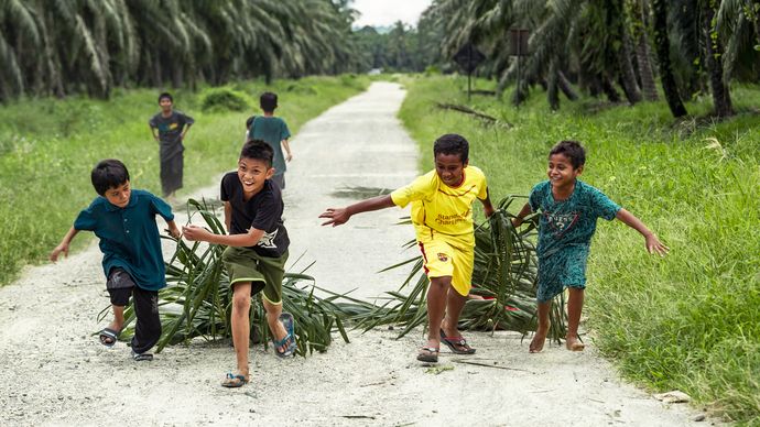 SDM Berkualitas Dinilai Jadi Fondasi Industri Sawit Berkelanjutan