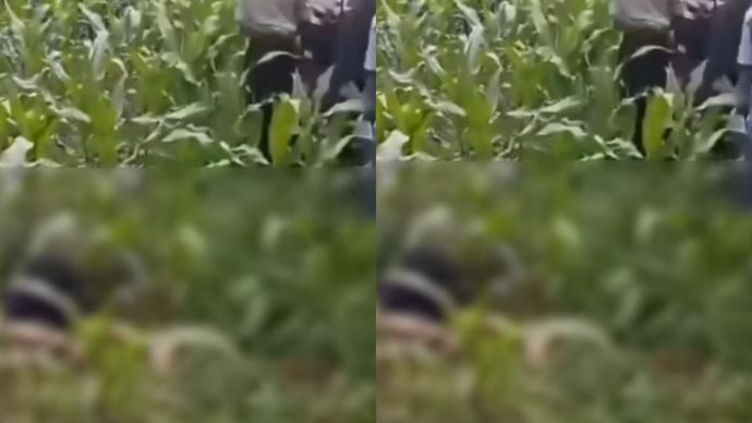 Warga Kampung Cibedug Girang, Desa Sukatani Kecamatan Sukaraja digegerkan dengan menemuan mayat pria pada Jumat (17/4/2026).