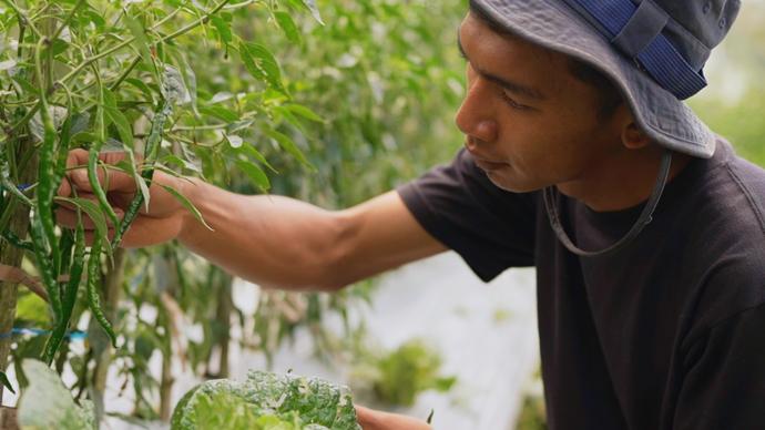 Karisudin, petani asal Dusun Pasah, Desa Senden, Kecamatan Selo, Kabupaten Boyolali.