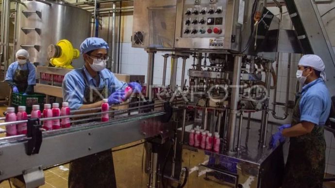 Pekerja menyelesaikan produksi susu kemasan di Unit Produksi Koperasi Produsen Peternakan Bandung Selatan (KPBS) Pangalengan, Kabupaten Bandung, Jawa Barat, Kamis 2 Oktober 2025. (ANTARA FOTO/Novrian Arbi/nym)