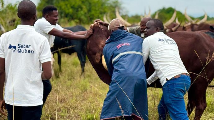 Flash Sale Qurban 2026, Perluas Jangkauan Manfaat hingga Indonesia Timur dan Afrika