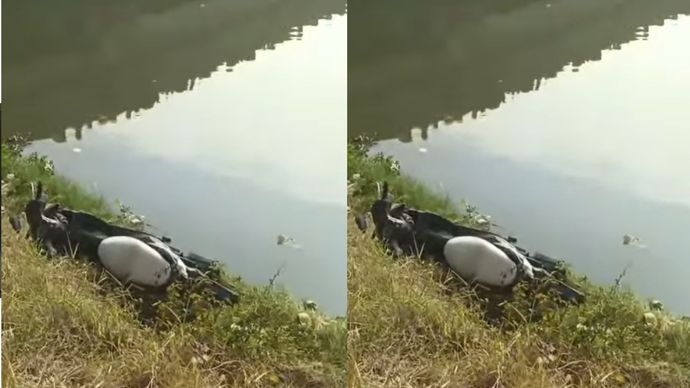 Seorang pengendara motor berinisial NFD (43) tutup usia setelah terjatuh ke Kali Banjir Kanal Timur (BKT) di kawasan Marunda, Cilincing, Jakarta Utara, Rabu (29/4/2026) pagi. 