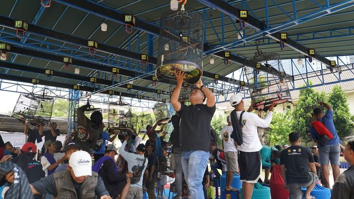Menteri Perdagangan (Mendag) Budi Santoso menyampaikan bahwa nilai ekonomi dari ekosistem burung kicau mencapai Rp1,7 triliun hingga Rp2 triliun. 