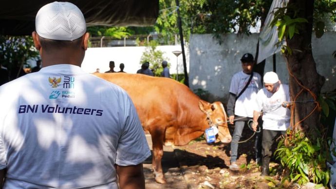 BNI menunjukkan kepeduliannya kepada masyarakat lewat penyaluran 1.200 hewan kurban pada perayaan Iduladha 1447 H/2026. (Foto: Dok/ Istimewa)