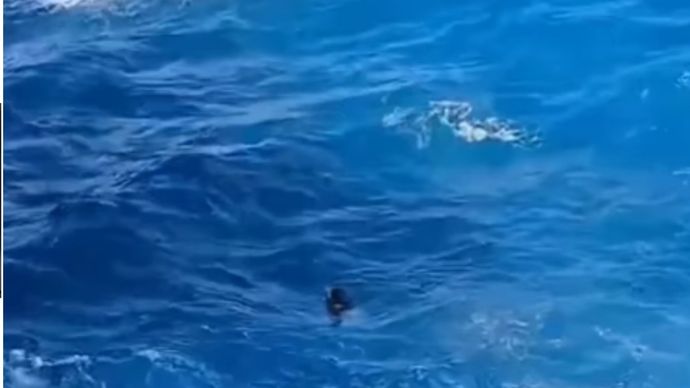 Seorang perempuan bernama Elmi Febrianti (20), warga Kelurahan Bontokamase, Kecamatan Herlang, Kabupaten Bulukumba, Sulsel dilaporkan hilang setelah terjatuh ke laut di kawasan wisata Apparalang, Desa Ara, Kecamatan Bontobahari, Bulukumba, Ahad atau Minggu (7/6/2026).