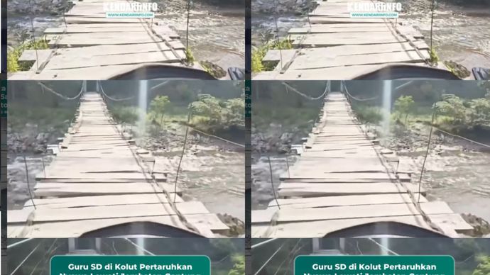 Guru SD Negeri 11 Lasusua di Dusun 6 Laoro Dangge, Desa Batuganda, Kecamatan Lasusua, Kabupaten Kolaka Utara (Kolut), Sulawesi Tenggara (Sultra), harus melewati jembatan gantung demi bisa sampai ke sekolah dan mengajar para siswa.