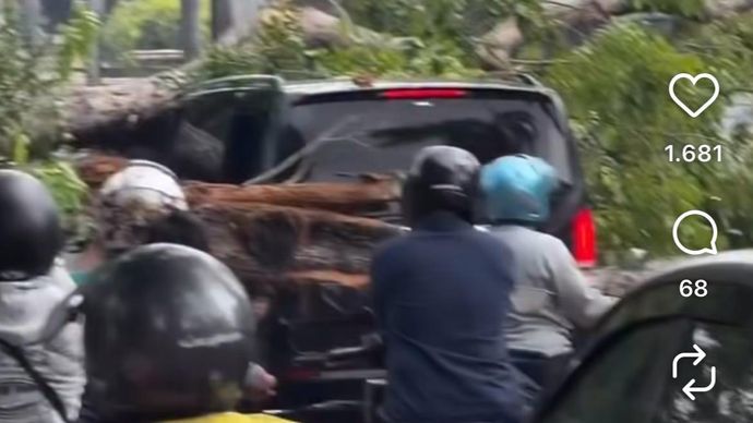 Pohon tumbang di Kelapa Gading, Jakarta Utara. 