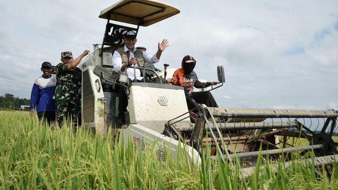 BULOG Tegaskan Penyerapan Gabah Petani Berjalan Sepanjang Tahun