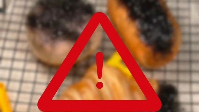 Ilustrasi - Croissant Pattaya atau Croissant Bulu yang viral di media sosial.