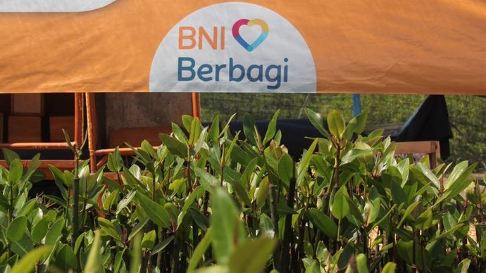BNI telah menanam 258.000 bibit mangrove selama delapan tahun terakhir di sejumlah kawasan pesisir strategis, yakni Mempawah (Kalimantan Barat), Kebumen (Jawa Tengah), Kepulauan Seribu (DKI Jakarta), Banyuwangi (Jawa Timur), dan Pamekasan (Jawa Timur