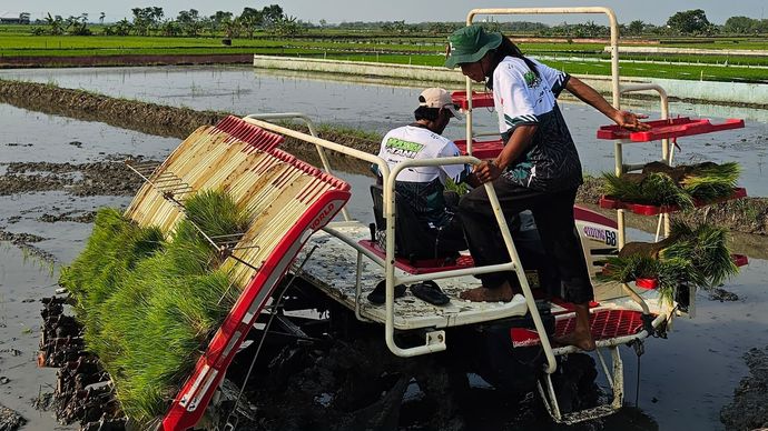 Badan Pusat Statistik (BPS) memproyeksikan produksi beras nasional untuk konsumsi pangan masyarakat sepanjang Januari hingga September 2026 mencapai 28,71 juta ton.