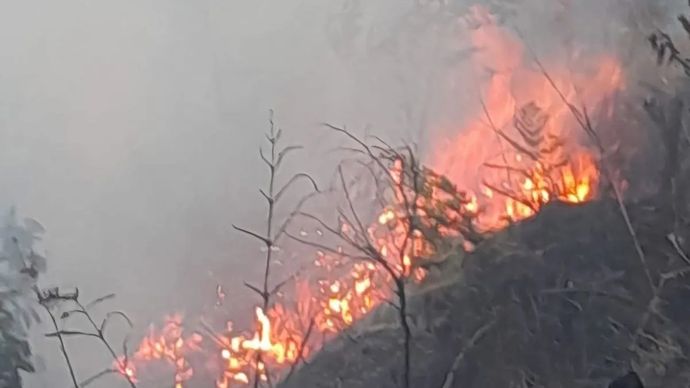 Kobaran api yang muncul di Blok Bantengan kawasan Taman Nasional Bromo Tengger Semeru (TNBTS), Senin, 3 Agustus 2026.