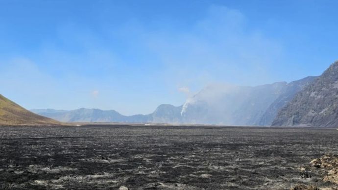 Araip Foto - Area padang rumput di kawasan Gunung Bromo, Jawa Timur terdampak kebakaran hutan dan lahan (karhutla). 