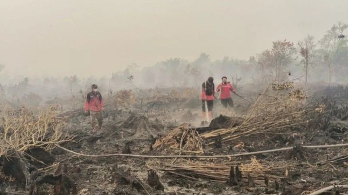 Petugas terus berupaya melakukan penanganan karhutla di kawasan Petuk Katimpun, Kota Palangka Raya, Rabu, 19 Agustus 2026.