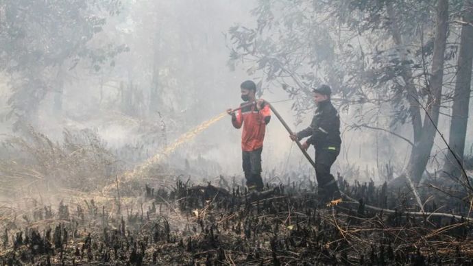 Arsip - Petugas melakukan pemadaman kebakaran lahan di wilayah Kota Palangka Raya Kalimantan Tengah. 