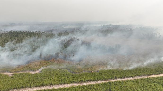 Karhutla di Kalimantan.