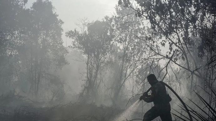 Personel TNI menyemprotkan air saat berupaya memadamkan kebakaran lahan gambut yang meluas di Desa Rimbo Panjang, Kecamatan Tambang, Kabupaten Kampar, Riau, Rabu (19/8/2026). Satgas darat dan udara karhutla Riau terus berupaya memadamkan kebakaran di dua lokasi, yakni Desa Rimbo Panjang seluas 4 hektare dan Desa Pagarayung seluas 10 hektare