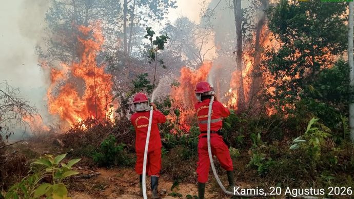 6 Provinsi di Kalimantan dan Sumatera Jadi Prioritas Penanganan Karhutla