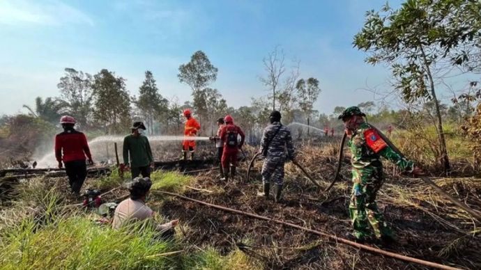 Petugas gabungan melakukan pemadaman kebakaran hutan dan lahan di TN Way Kambas, Lampung