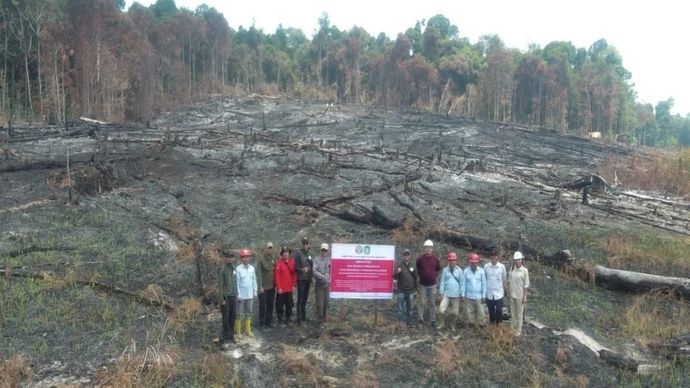 Pembekuan izin perusahaan dan sanksi paksaan pemerintah