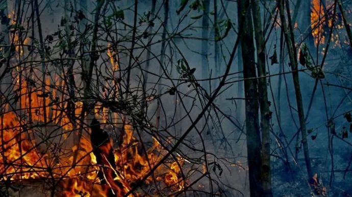 Kebakaran hutan dan lahan menghanguskan lahan gambut di kawasan Bandara Internasional Syamsudin Noor, Banjarbaru, Kalimantan Selatan