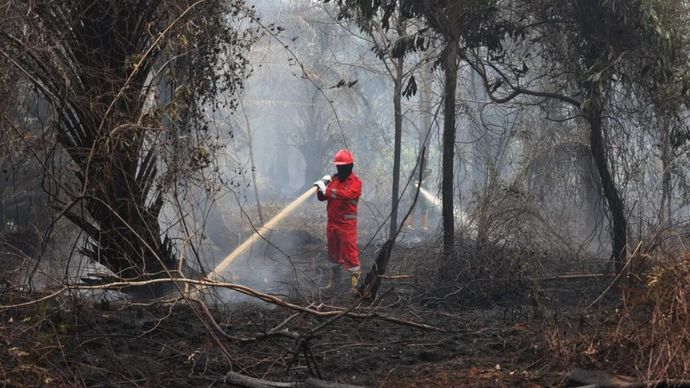 Personel Manggala Agni Daops Kalimantan VIII/Pontianak melakukan pembasahan untuk mencegah api kembali menyala di lahan gambut yang terbakar di Sekunder C, Rasau Jaya 3, Kabupaten Kubu Raya, Kalimantan Barat, Kamis, 27 Agustus 2026. Kementerian Kehutanan mengerahkan 758 personel Manggala Agni yang diperkuat 45 personel tambahan dari Jawa, Sulawesi, dan Kalimantan Selatan untuk mendukung penanganan kebakaran hutan dan lahan (karhutla), khususnya di Kalimantan Barat dan Kalimantan Tengah. 