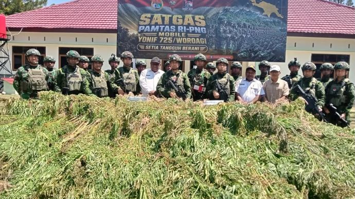 Satgas Yonif 725/Woroagi (WRG) yang dipimpin Dansatgas Letkol Inf Safril berhasil membersihkan ladang ganja di Kampung Ibiroma dan Kampung Hesmat, Distrik Kurima, Kabupaten Yahukimo