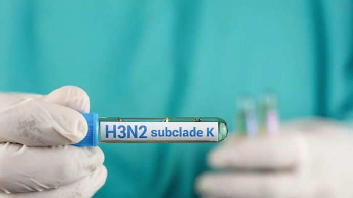 Ilustrasi sampel influenza A(H3N2) subclade K.