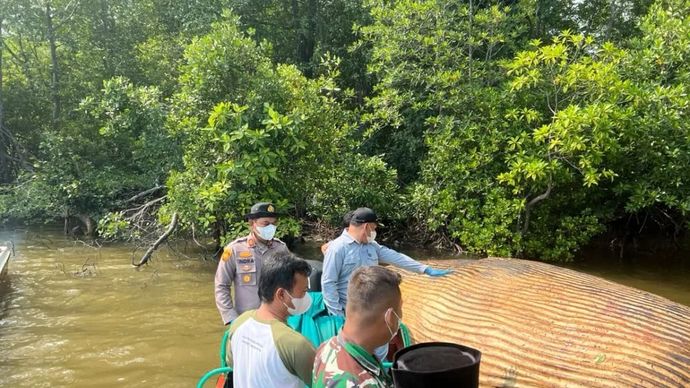 Kondisi bangkai diduga ikan paus sepanjang 8 meter dengan berat 4 ton di Perairan Sungai Bahale Kecamatan Mandah Inderagiri Hilir, Riau