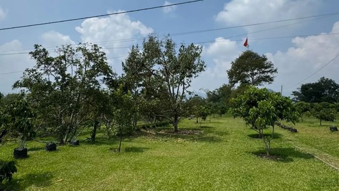 Aset berupa area glamping atau kemah glamor seluas 1,5 hektare yang diduga milik anggota Kepolisian Negara Republik Indonesia (Polri) bernama Yayat Sudrajat alias Lippo, dan ditinjau oleh Komisi Pemberantasan Korupsi, di Kabupaten Subang, Jawa Barat, Rabu, 30 September 2026.