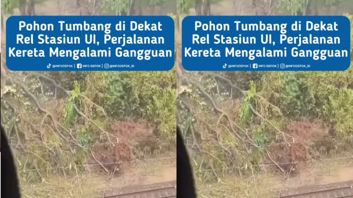 Dilaporkan terjadi pohon tumbang di sekitar Stasiun Universitas Indonesia (UI), Rabu (30/9/2026) sekitar pukul 14.10 WIB.