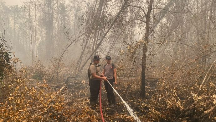 Satgas Karhutla Satbrimob Polda Kalteng Terus Lakukan Pembasahan di Tanjung Taruna