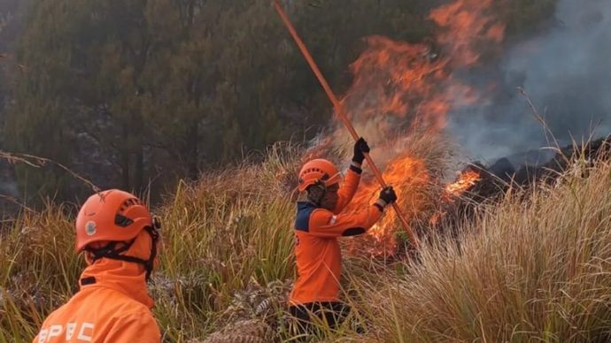 Petugas padamkan api di karhutla Gunung Bromo pada September 2026. 