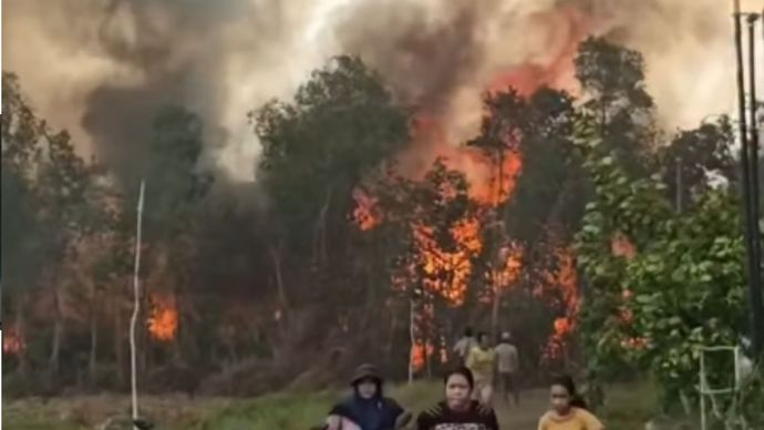 kebakaran hutan