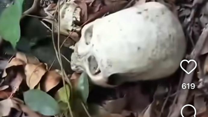 Kerangka manusia ditemukan di hutan kawasan Kabupaten Pesawaran. 