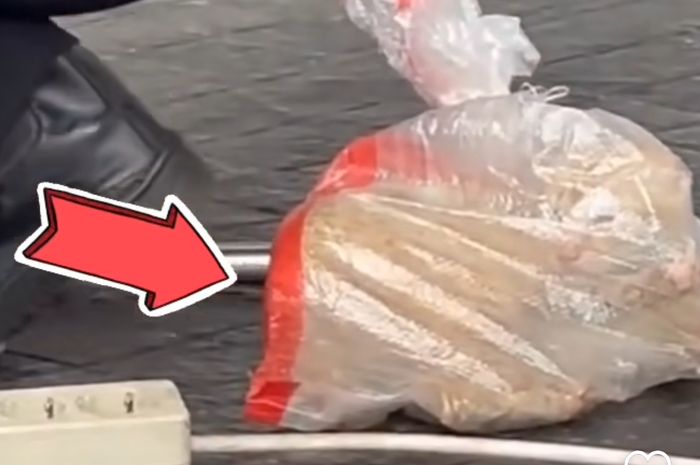 Viral Kucing Dibungkus Plastik Petugas GBK, Pengelola Bilang Gini -  Ntvnews.id