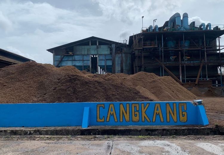 Dorong Transisi Energi Prorakyat dan Ramah Lingkungan, ESDM Perluas Program PLTSa, Biogas dan Biomassa