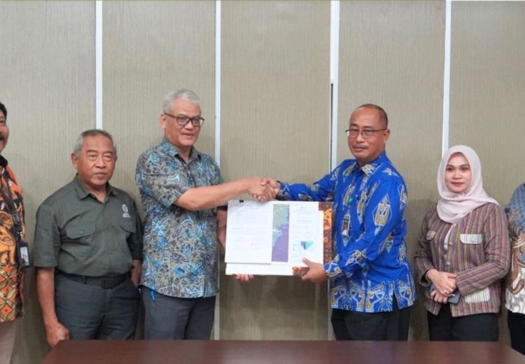 NTV News content image