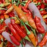 1,4 Ton Cabai Petani Aceh Masuk Jakarta, Distribusikan ke Pasar