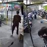 Bikin Ngilu, Pemotor Adu Banteng dengan Truk Tangki Air di Mojokerto, Kakinya Putus hingga Terlempar